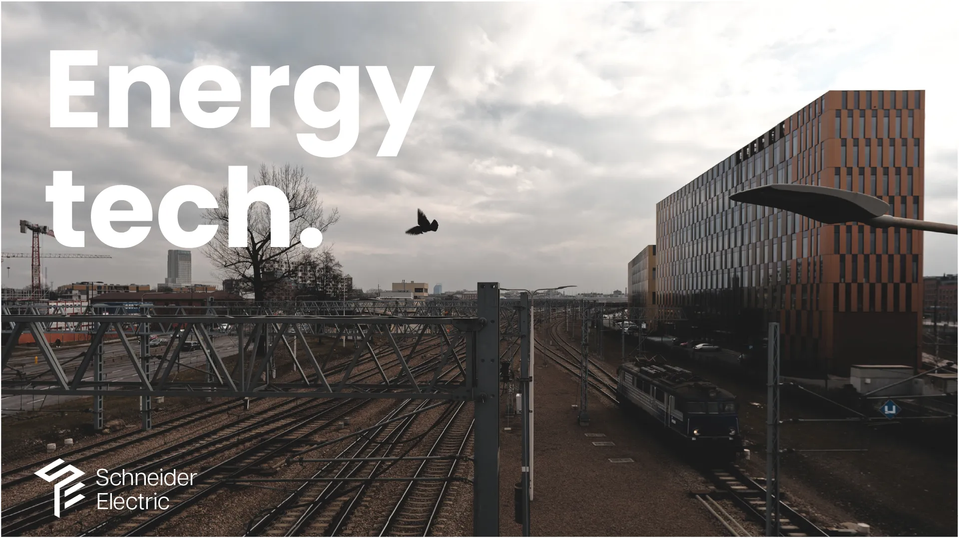 Rail yard under grey cloud, a bird mid-frame